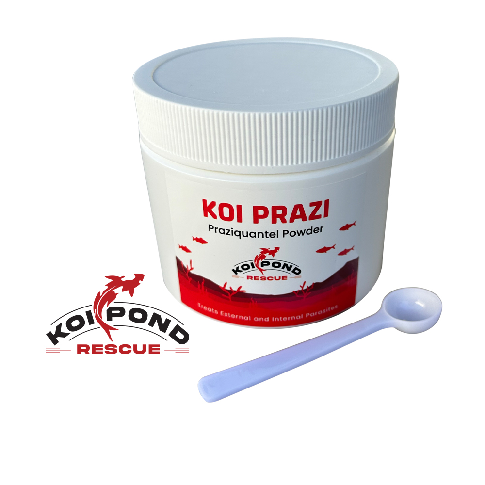 KOI PRAZI Praziquantel Powder